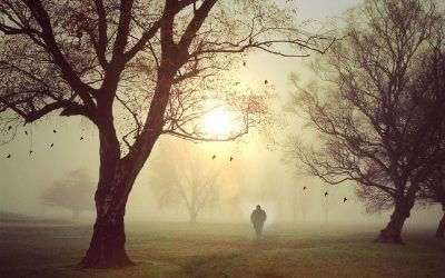 Einsamer Mensch im Nebel zwischen zwei Bäumen. So einsam fühlst Du Dich, wenn Du alle Ängste, die Wut und Trauer des unerfüllten Kinderwunsches mit Dir allein ausmachst.