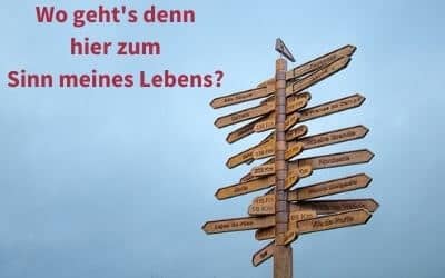 Ein Wegweiser mit zu vielen Pfeilen in zu viele unterschiedliche Richtungen verwirrt mehr, als er hilft. Da verlierst Du leicht den Überblick. So ist es auch auf dem Kinderwunschweg.